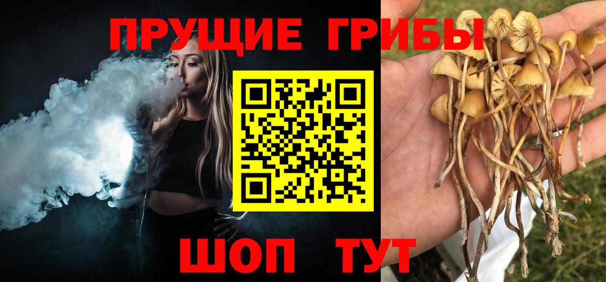 Псилоцибиновые грибы мухоморы Саратов