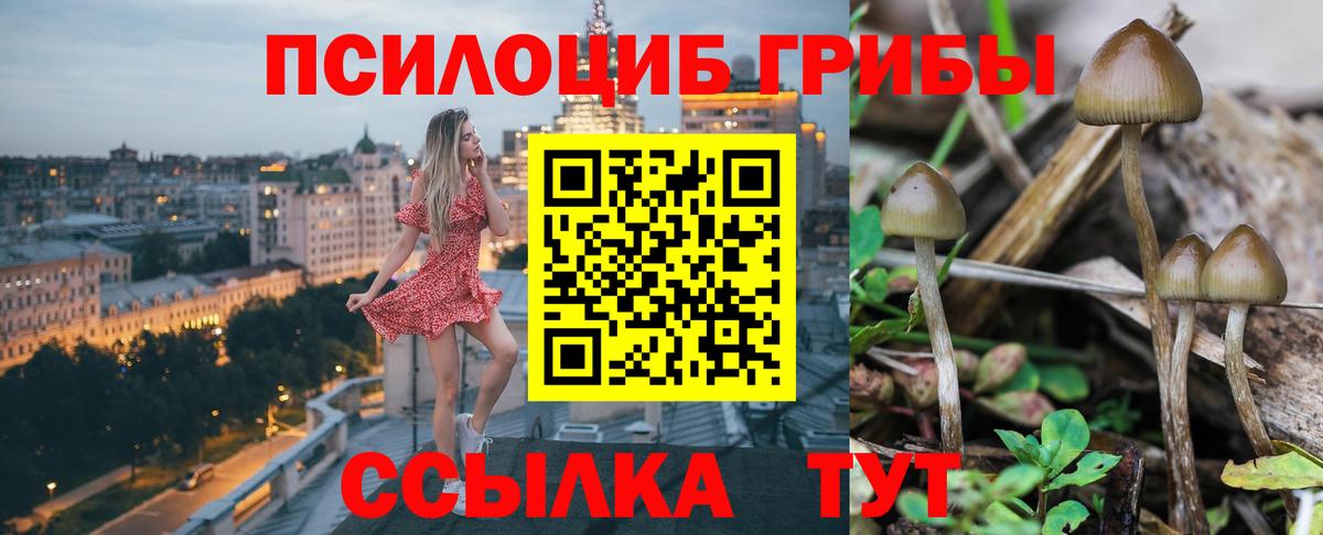Псилоцибиновые грибы мухоморы  Галлюциногенные грибы прущие грибы  Саратов  закладка  Вход с VPN 